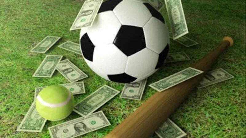 Học Quản Lý Vốn Cùng Checker Jure Ivankovic – Tối Ưu Lợi Nhuận Tại Sunwin