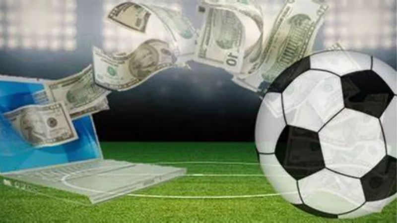 Học Quản Lý Vốn Cùng Checker Jure Ivankovic – Tối Ưu Lợi Nhuận Tại Sunwin